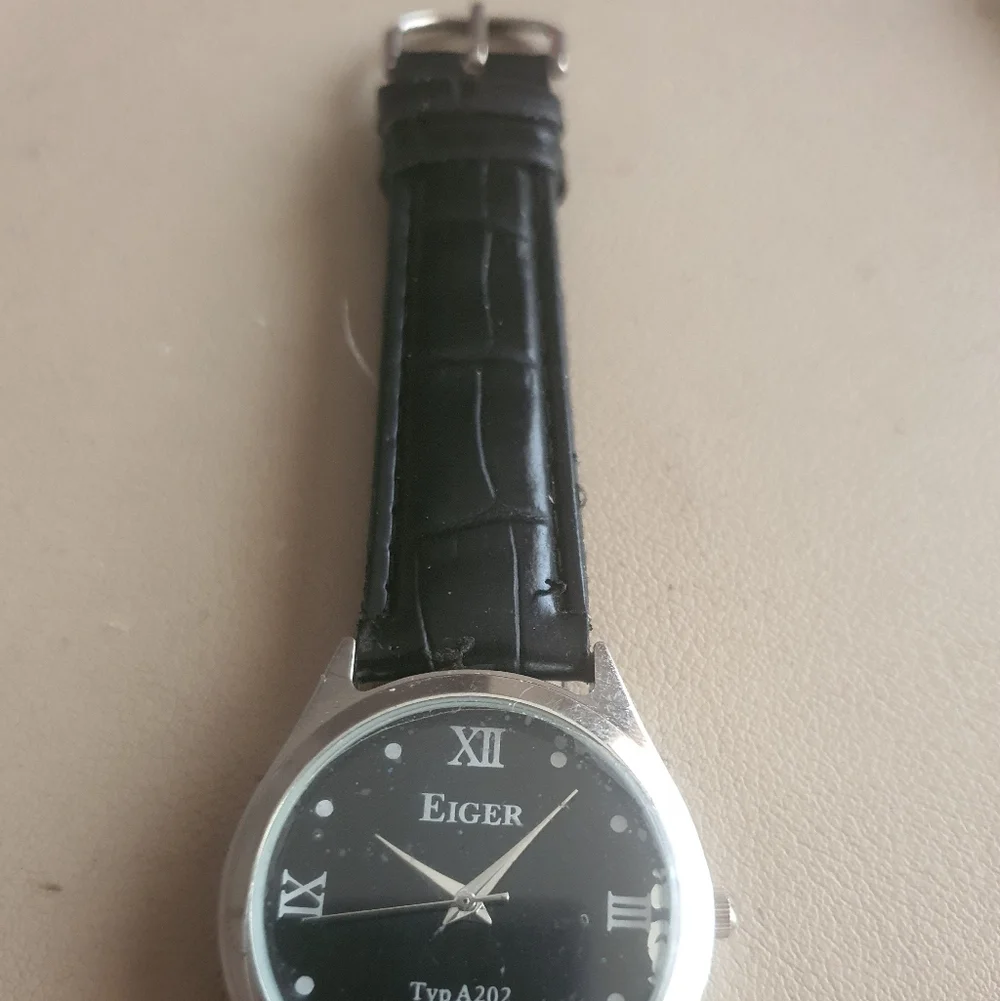 10/$20 Eiger Typ A202 Silver/Black Leather Men's Watch